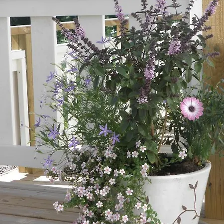 Ulrikanhovi Vendégház